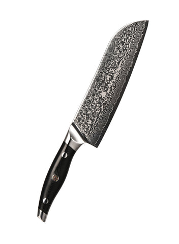 ABEILLIA Libra Black G10 Handle Material 8 inch damascus Santoku Multi layers compound steel with core VG10